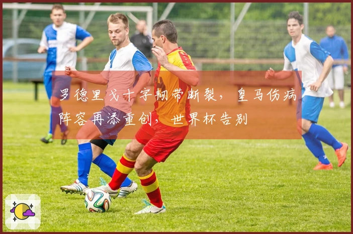 罗德里戈十字韧带断裂，皇马伤病阵容再添重创，世界杯告别